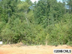 Lot#57 Stoneview Ct., Denver, NC 28037