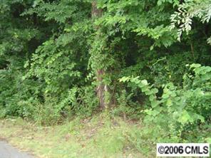 00 Alice Ave., Belmont, NC 28012