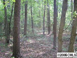 Lot 4 Rowland Rd., Locust, NC 28001