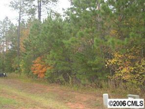 #14 Woodbend Dr., Stanley, NC 28164