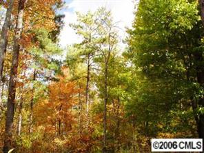 9209 Egret Ridge Dr., Belmont, NC 28012