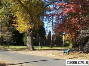 621-L2 Dogwood Ln., Davidson, NC 28036