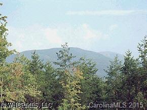 Lot 39 Lake Adger Pkwy., Mill Spring, NC 28756