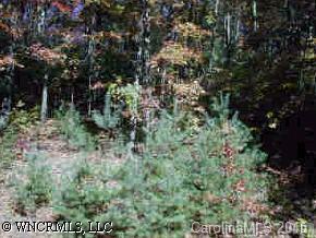 Lot 45 Twin Oaks Ln., Pisgah Forest, NC 28768