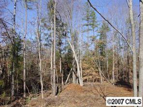 LOT 24 Bishop Ln., Waxhaw, NC 28173