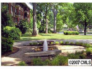 1300 Queens Rd. #303, Charlotte, NC 28207