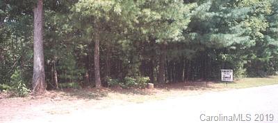 Lillians Point, East Shores Dr, Morganton, NC 28655