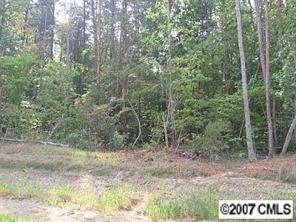 Lot 63 Walking Horse Tr., Davidson, NC 28036