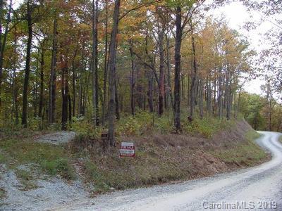 Lot 36 Grant's Mtn Estates, Marion, NC 28752