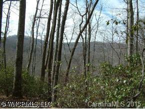 4 Sylvan Habitat Ph I, Pisgah Forest, NC 28768