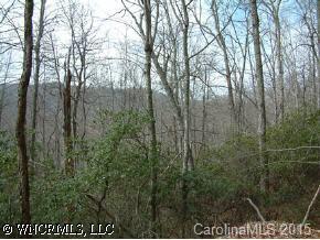 6 Sylvan Habitat Ph I, Pisgah Forest, NC 28768