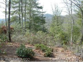 CAMP 5 Firefly Ln., Pisgah Forest, NC 28768