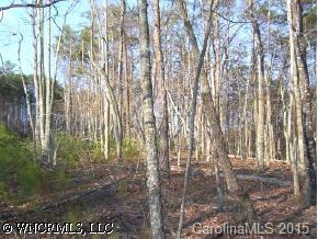 Lot 33 Green Hills Rd., Mill Spring, NC 28756
