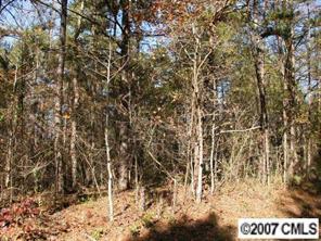 Lot 1 Nelson Rd., Mint Hill, NC 28227