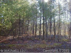 Cascade Creek Ln., Etowah, NC 28729