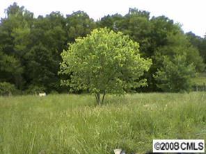 00 Kidville Rd., Denver, NC 28037