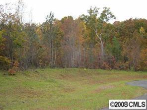 Lot 11 Short Cedar Tr., Alexis, NC 28006