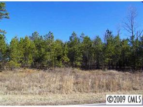 LOT 4 Providence Church Rd., Salisbury, NC 28146