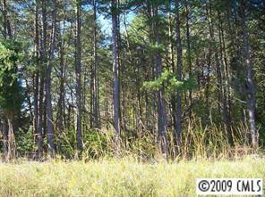 Lot 2 Tallent Ct., Sherrills Ford, NC 28673