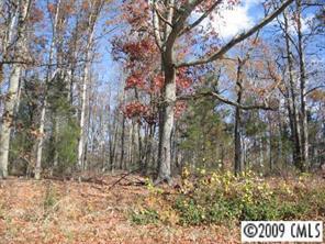 Lot 1 Deese Rd., Monroe, NC 28110