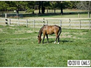 19536 Kistler Farm Rd., Davidson, NC 28036