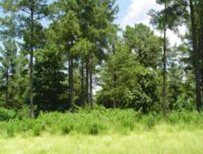 Lot 91 Riverwalk Dr., Rutherford College, NC 28612