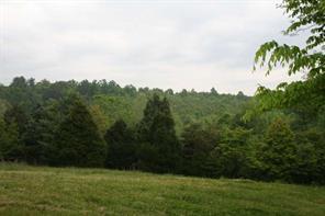 v/l Shady Pine Dr., Valdese, NC 28690