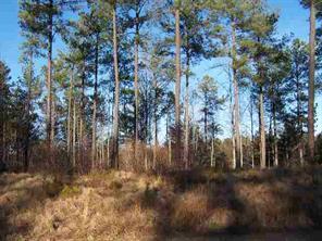 Lot 40 Rivercliff Dr., Rutherford College, NC 28612