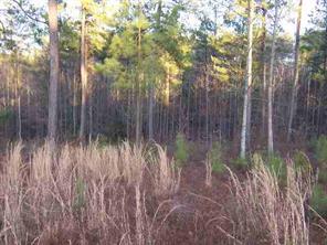 Lot 95 Riverwalk Dr., Rutherford College, NC 28612