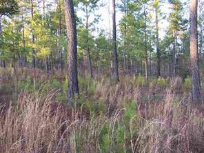 Lot 90 Riverwalk Dr., Rutherford College, NC 28612