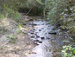 729 Oakland Ave Extension, Morganton, NC 28655