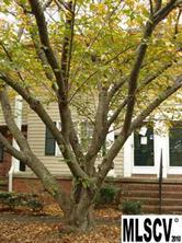 619 D Cherry St., Statesville, NC 28677