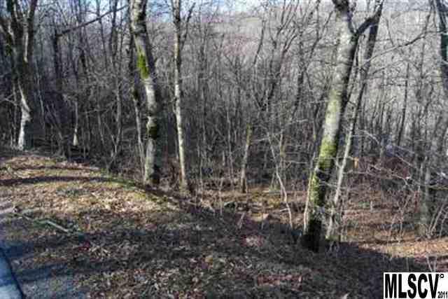 Lot 80 Elk Horn Rd. #80, Banner Elk, NC 28604