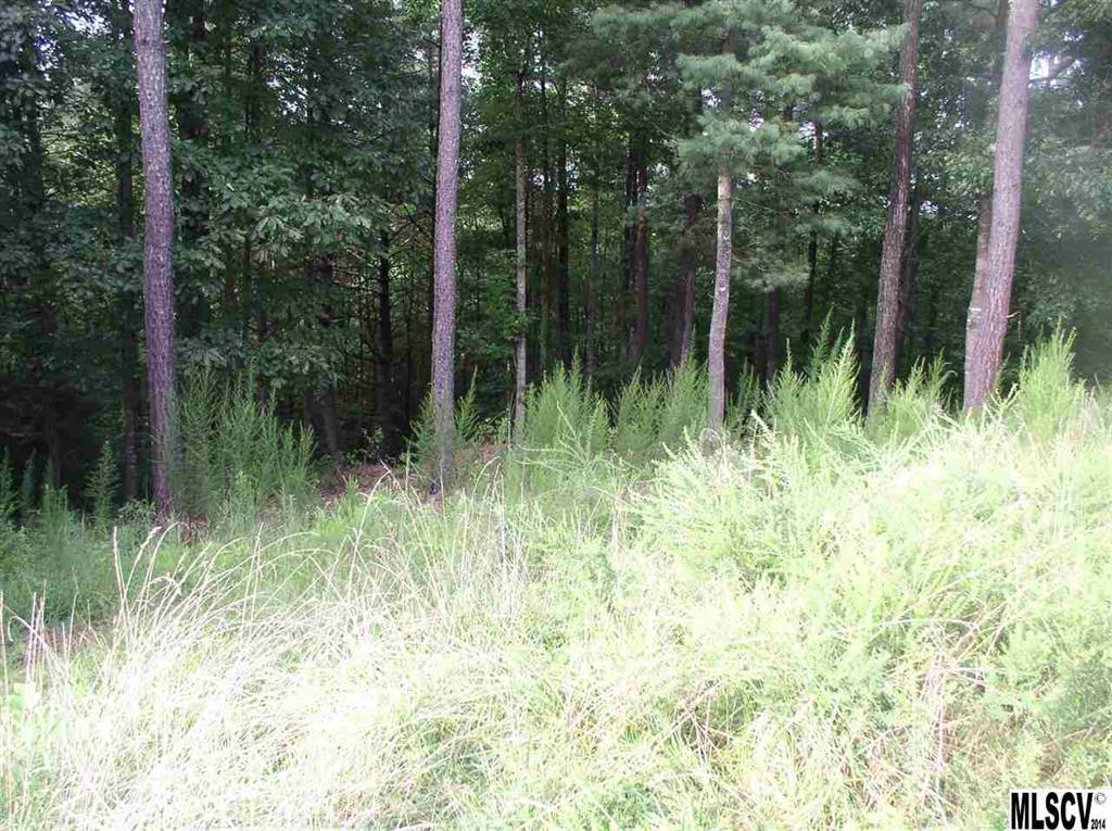 2485 Gus Icard St. #55, Icard, NC 28666