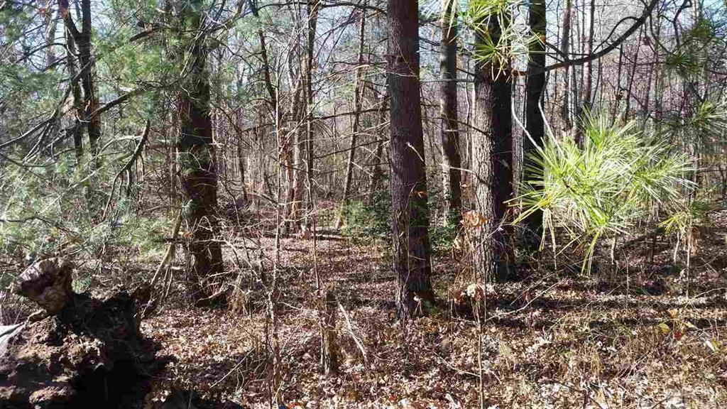 Lot 3 Mt Pleasant Church Rd. #3, Sherrills Ford, NC 28673