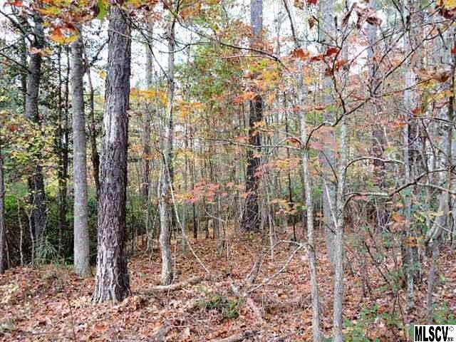Lot 18 Harbor Ridge Dr. #18, Rutherford College, NC 28612