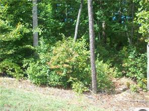 LOT 21 Victoria Lake Dr., Waxhaw, NC 28173