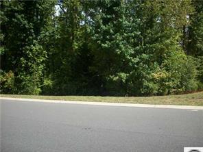 L159 Victory Gallop Ct., Waxhaw, NC 28173