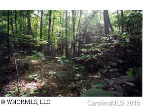 - Mountain Laurel Ln., Fletcher, NC 28732