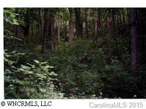 00 Mcdaris Cove Rd., Weaverville, NC 28787
