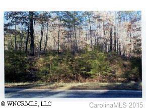 00 Painters Gap Rd., Rutherfordton, NC 28139