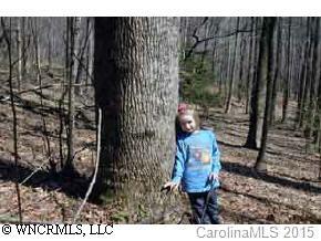 999 Cedar Creek, Rutherfordton, NC 28139