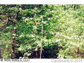 LOT 2 Robinson Cove Rd., Candler, NC 28715