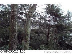 269 Davis Creek Rd., Candler, NC 28715