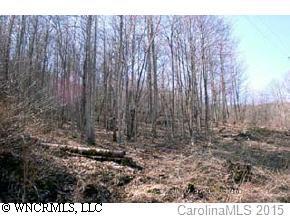 000 Serenity Mt Rd., Waynesville, NC 28786
