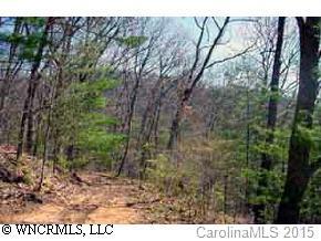 Carter Cove Rd., Asheville, NC 28804