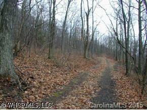 00 Stone Cliff Dr., Arden, NC 28704