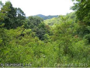 off Sr 1338, Waynesville, NC 28785