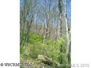 9 Mosa Meadows, Waynesville, NC 28786