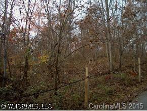 TRACT 1 Upper Heron Cove, Weaverville, NC 28787